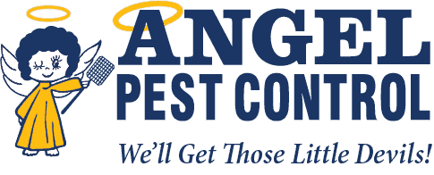 cropped-AngelLogo_wTagline.png