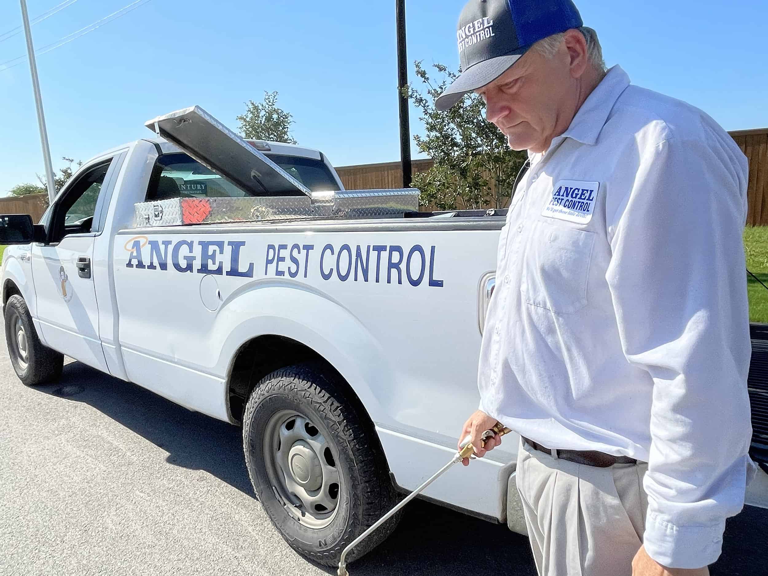 How Long Will It Take For Pest Control To Work Angel Pest Control how-long-will-it-take-for-pest-control-to-work-angel-pest-control