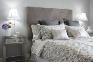 bed bugs