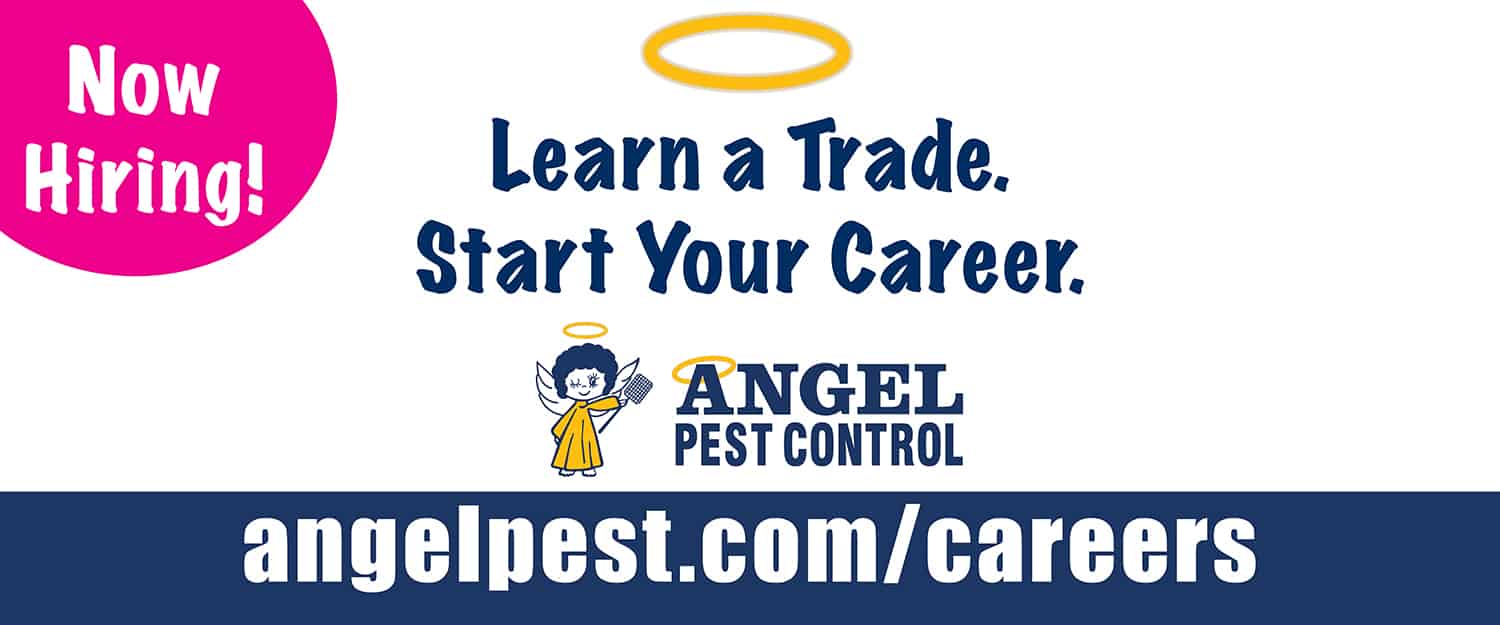 Angel Pest Now Hiring